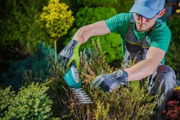 landscaping services Kenmore